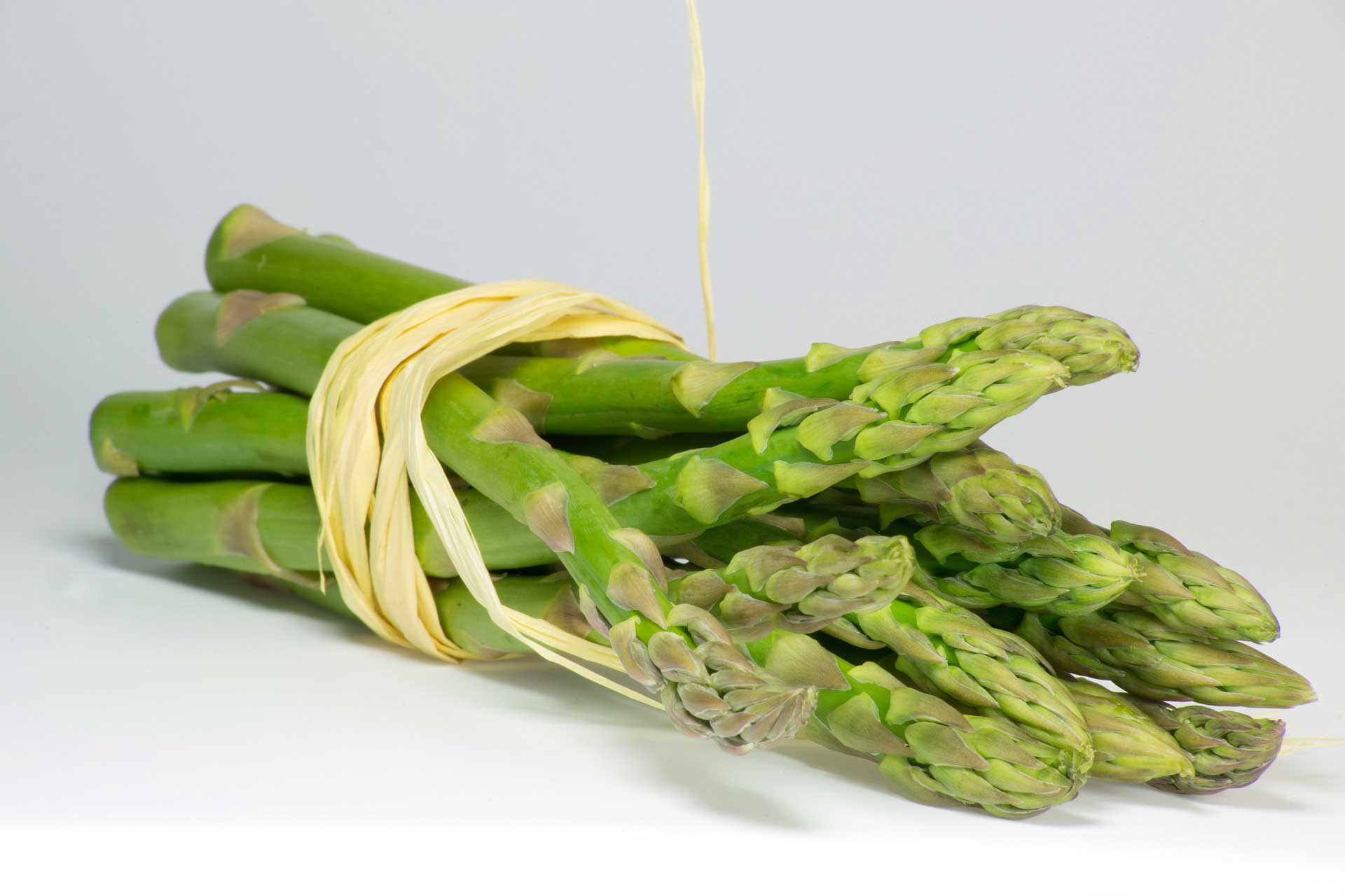 Bundle of Asparagus Spears