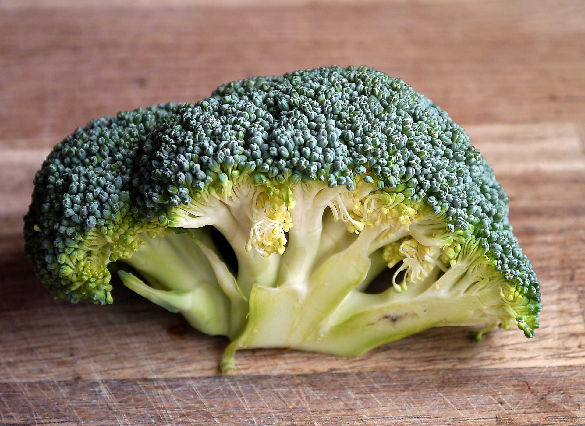 Broccoli Head